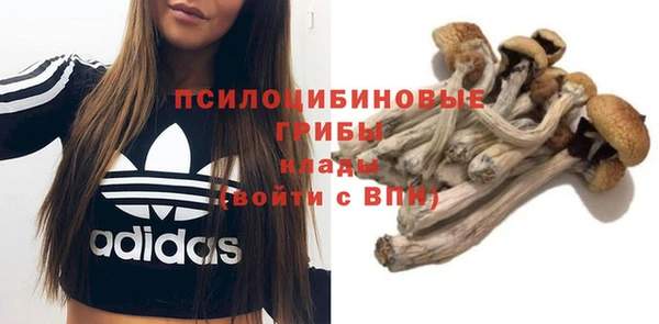 синтетический гашиш Каменск-Шахтинский