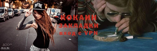 крисы Каменка