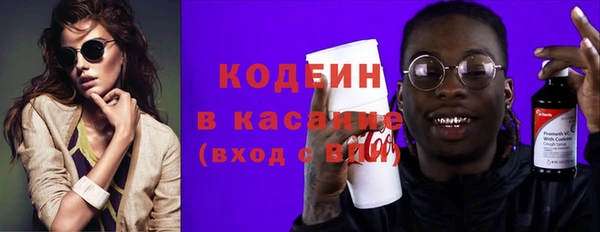 крисы Каменка
