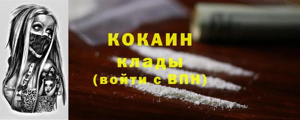 крисы Каменка