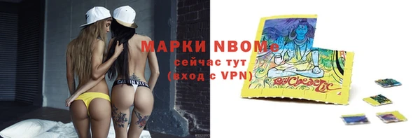 дмт Каменногорск