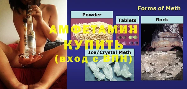 крисы Каменка