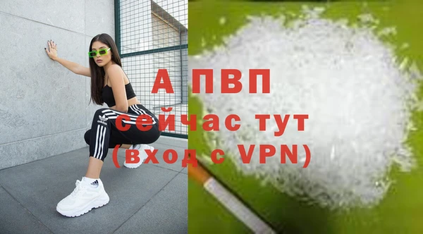 крисы Каменка