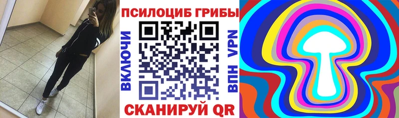 Купить закладки  Туран  Галлюциногенные грибы Psilocybe 